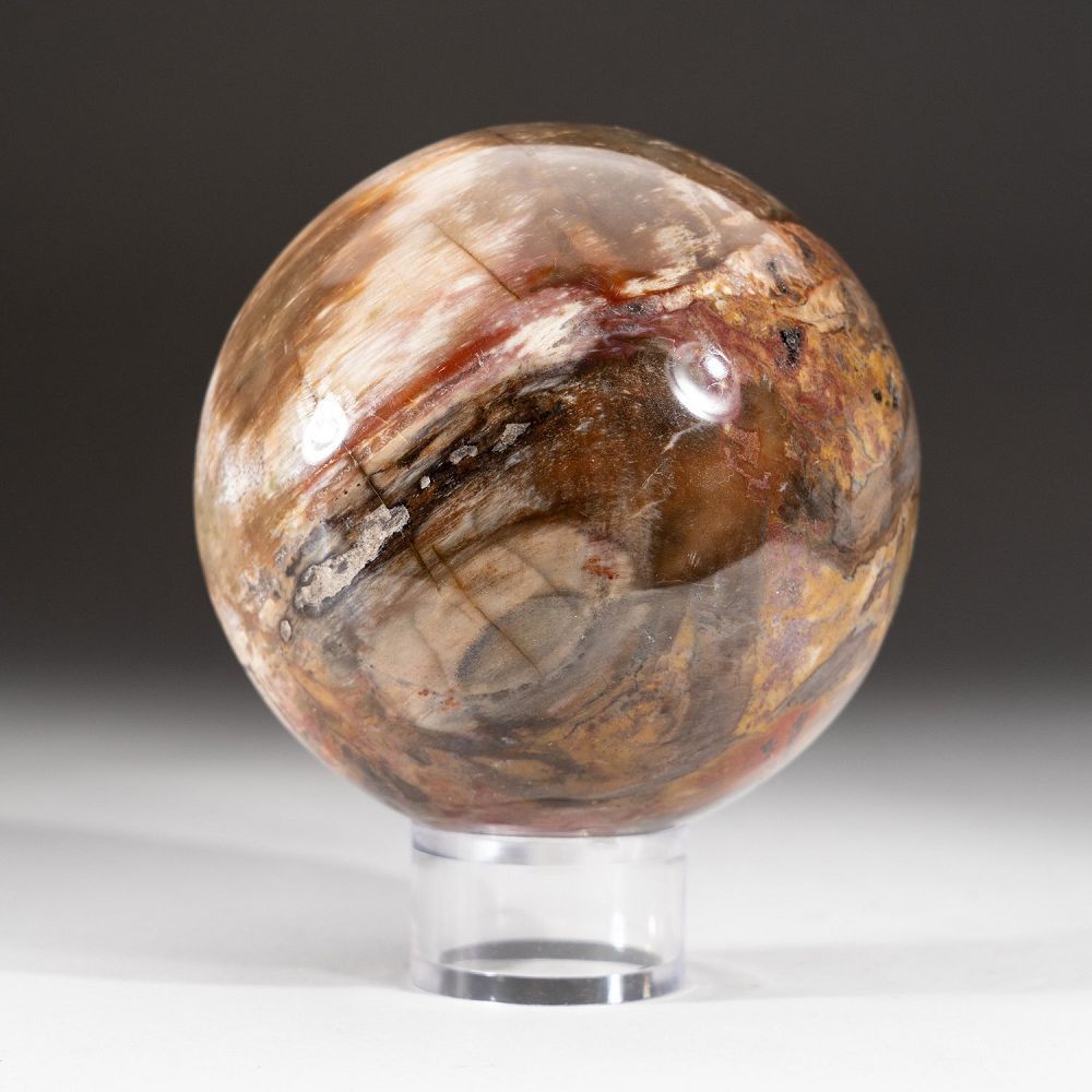 Petrified Wood Sphere A
