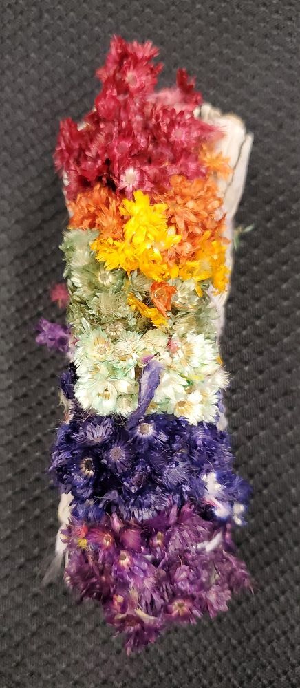 White Sage & Sinuata Chakra - Smudge (5")