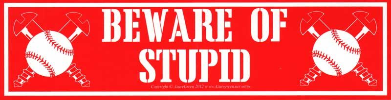 Beware of Stupid - Bumper Sticker (11.5"L)