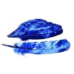 Tie Dye Blue Feather