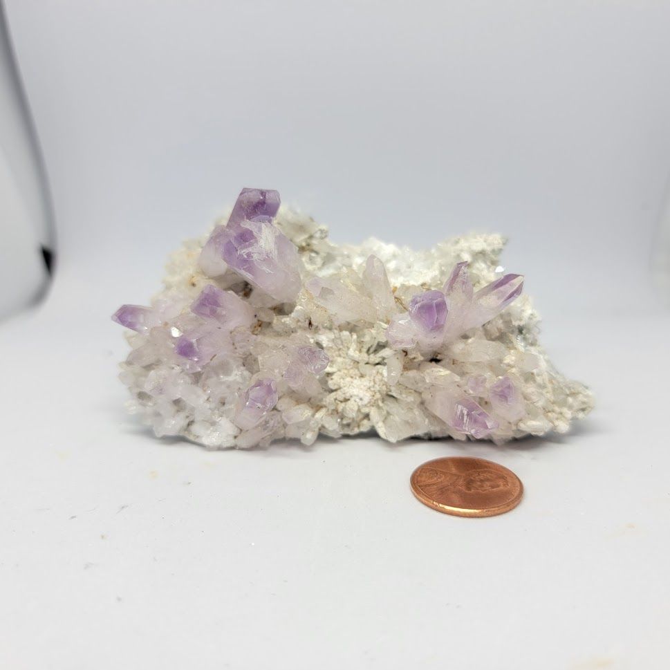 Vera Cruz Amethyst Cluster (Large)