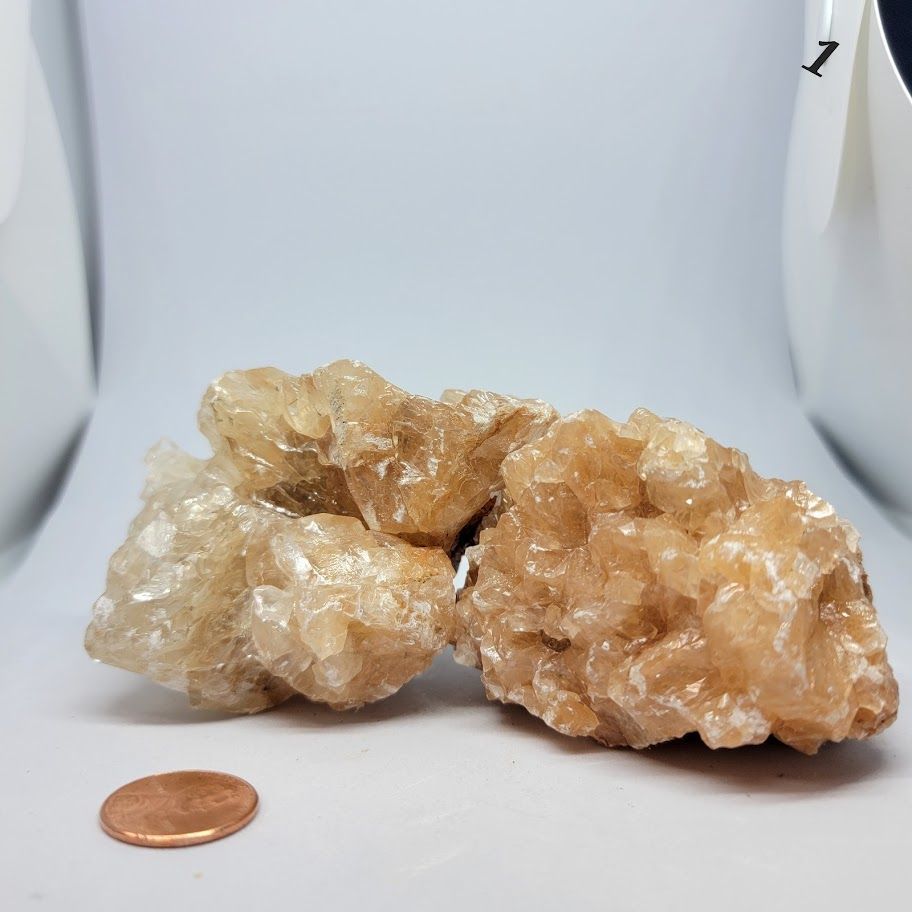 Coral Calcite lg