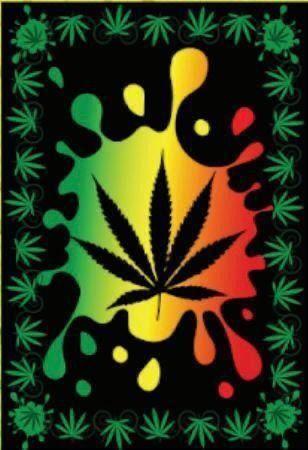 Tapestry Cannabis Splash