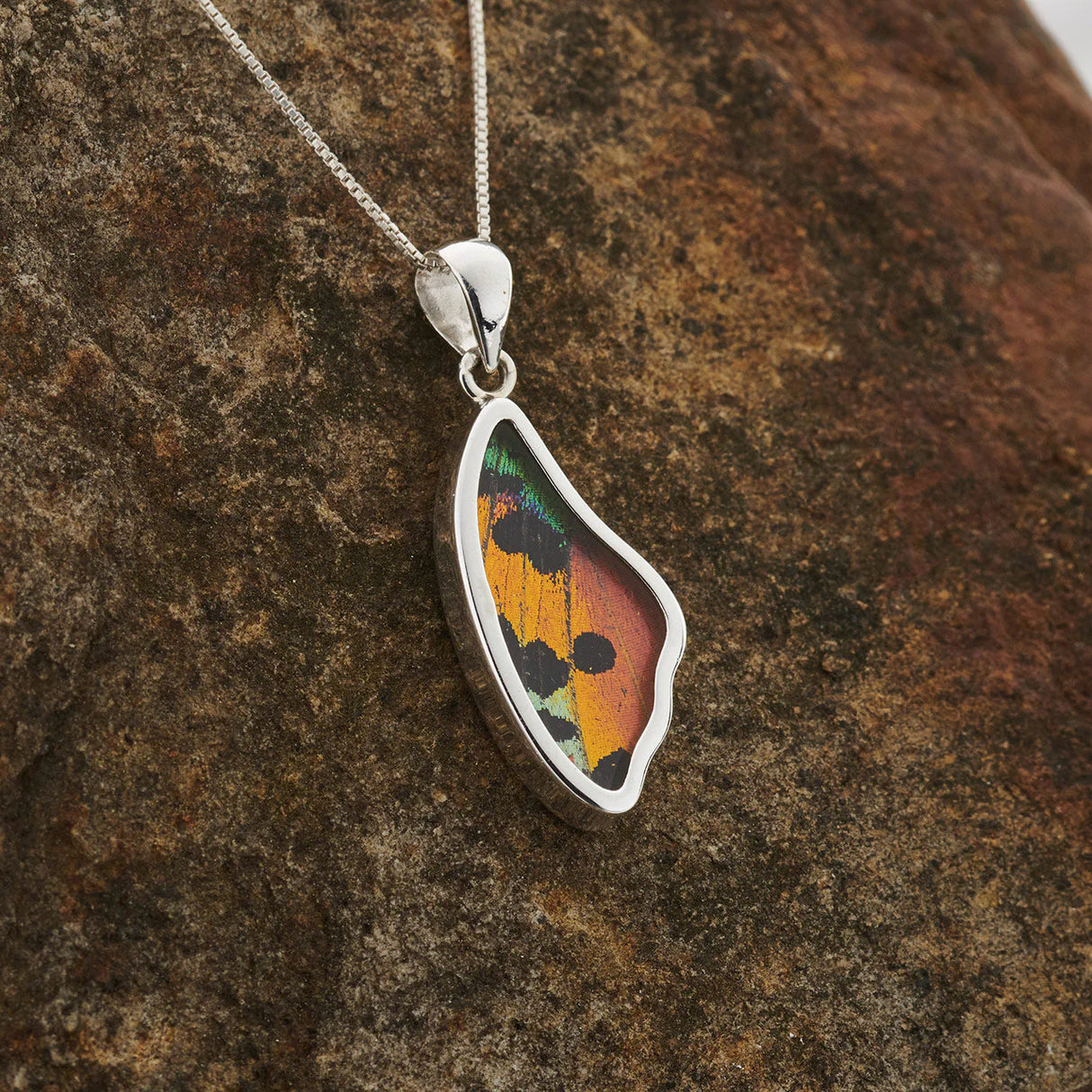 Sunset Moth - Pendant (1.5")