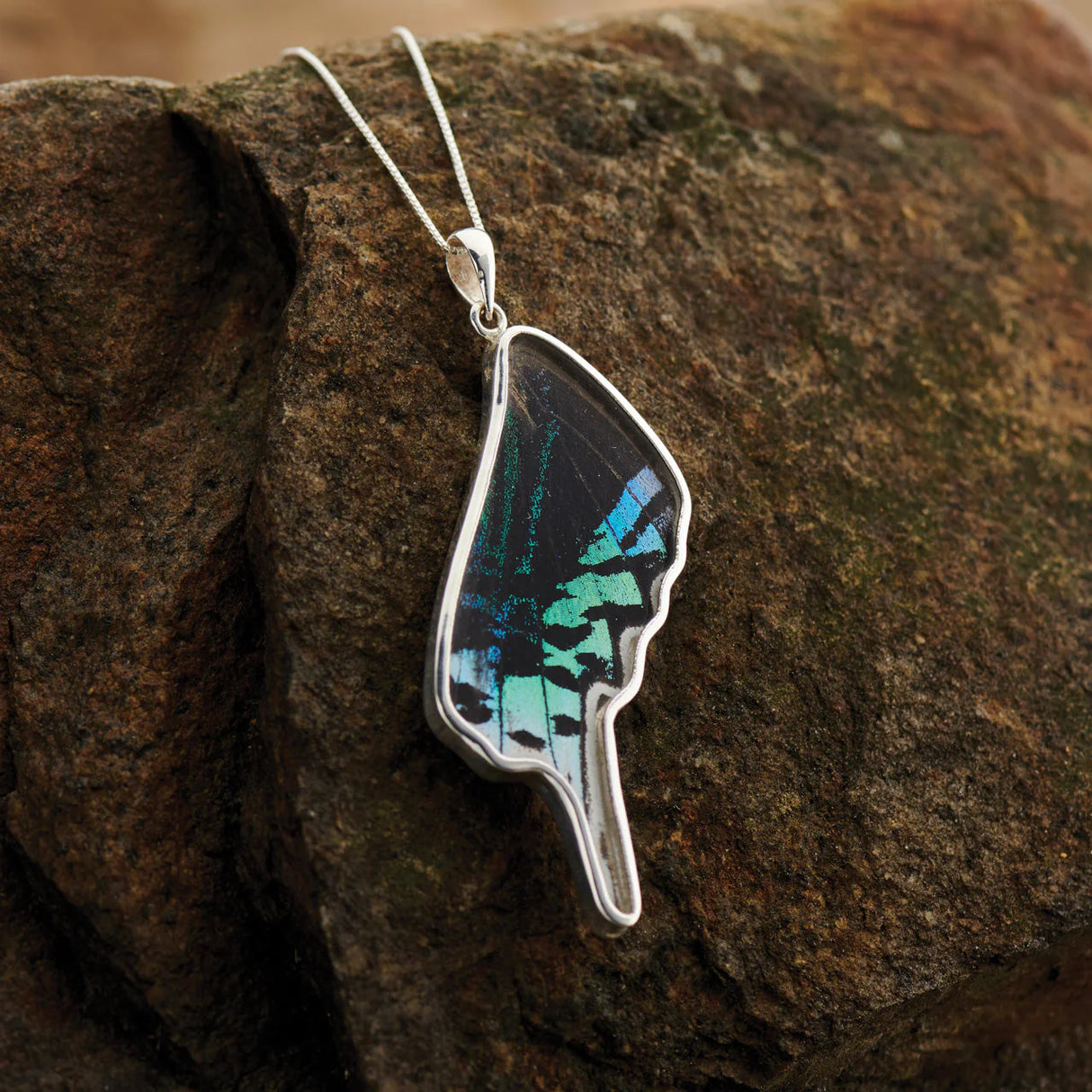 Urania Leilus Moth - Pendant