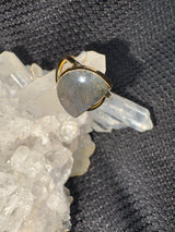 Gold Alloy Labradorite Ring - Assorted Size