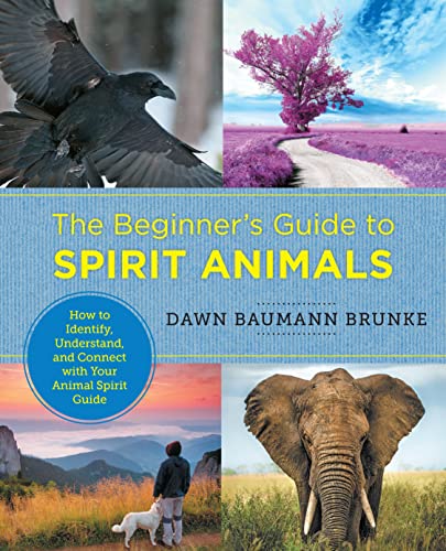 The Beginner's Guide to Spirit Animals - Dawn Brunke