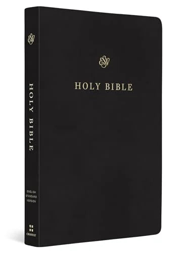 Holy Bible - Black 9"