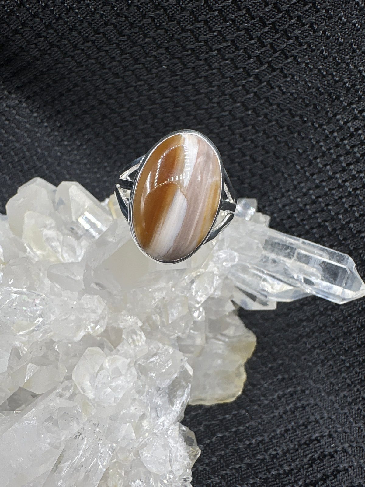 Sterling Silver Petrified Wood Ring - Size 10