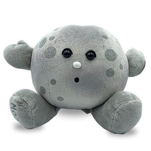 Moon Buddy Plush 5"
