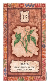 Shaman Wisdom Oracle