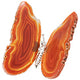 Agate Slice Butterfly (3-4")