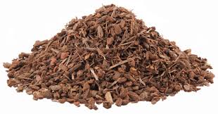 Black Walnut - Bark (1oz)