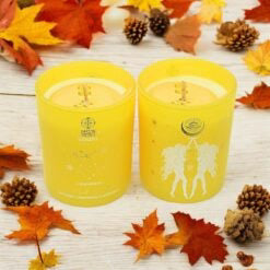 Zodiac Soy Votive Candle