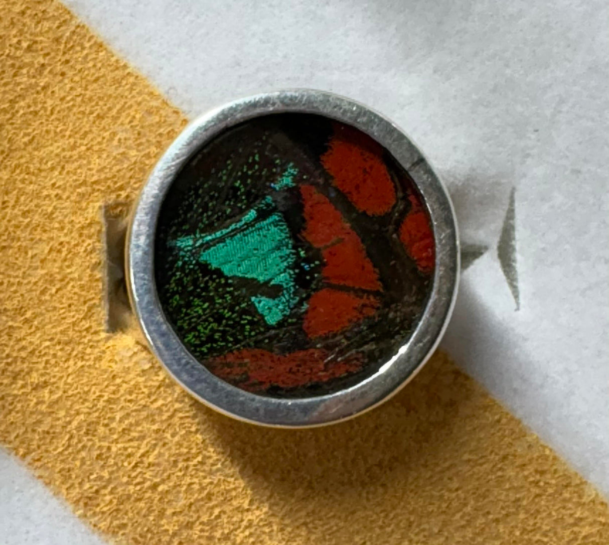 Mixed Butterfly Wing Ring - Size 6